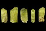 Five Yellow Apatite Crystals (High Quality) - Morocco #143079-1